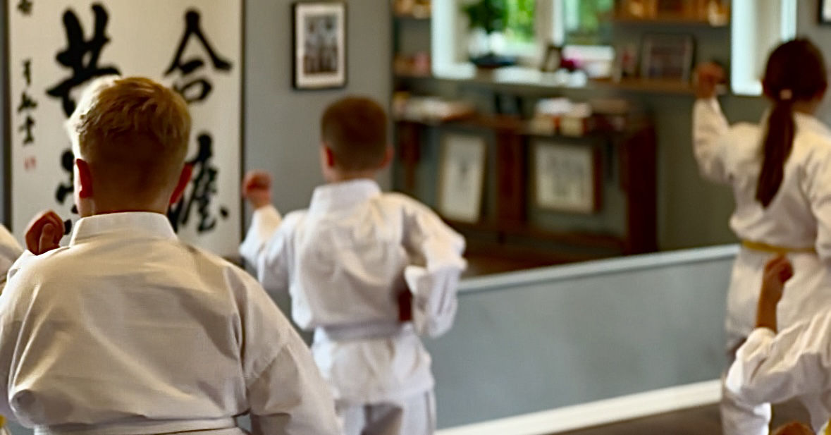 Shirasagi Dojo Kinder Karate in Chemnitz - 1 Monat zum Kennenlernen